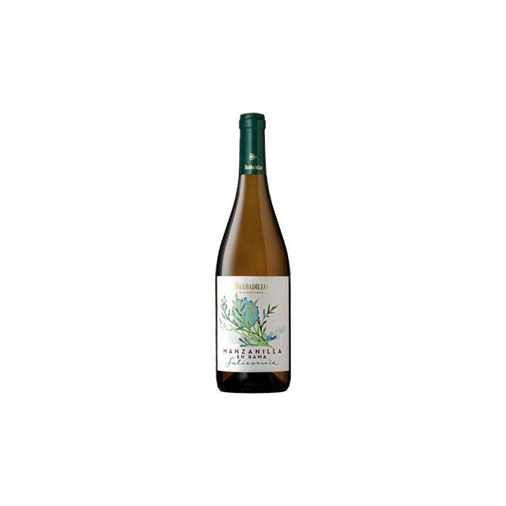 Barbadillo Manzanilla en Rama Salicornia